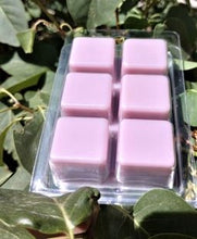 Load image into Gallery viewer, Blooming Lilac Bliss | Wax Melt