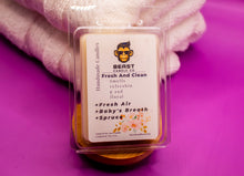 Load image into Gallery viewer, Fresh and Clean | Wax Melt