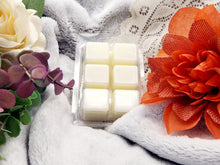 Load image into Gallery viewer, Fresh and Clean | Wax Melt